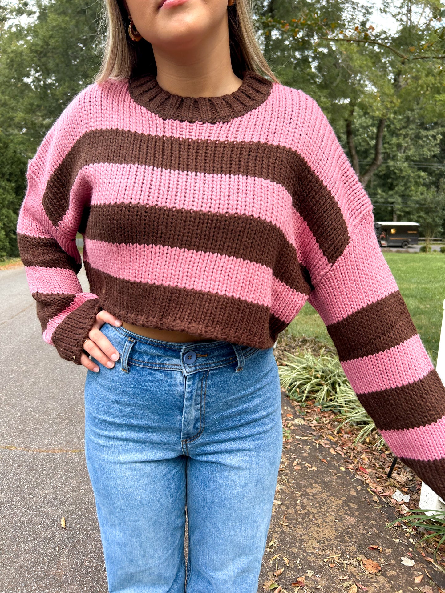 Chocolate Covered Strawberry Sweater